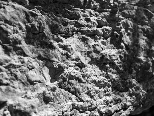 Co warto wiedzieć o Moon Rock? Ciekawostki