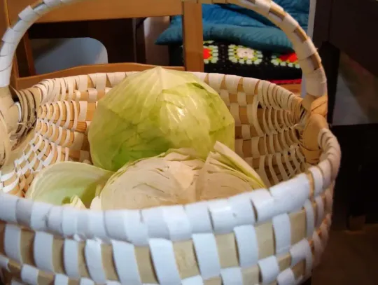 „Gotuj jak Babcia" - Kapusta i Śliwki