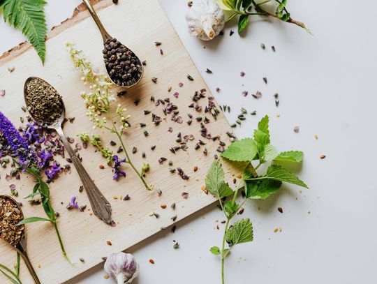 Internetowy sklep zielarski – jak wybierać naturalne produkty z głową? Internetowy sklep zielarski – jak wybierać naturalne produkty z głową?