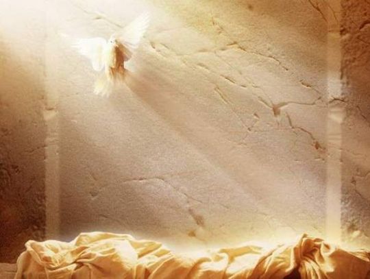 JAK OBCHODZIĆ WIELKĄ SOBOTĘ I NIEDZIELĘ WIELKANOCNĄ W KOŚCIELE DOMOWYM? [FILMY, MATERIAŁY PDF I NA URZĄDZENIA MOBILNE]