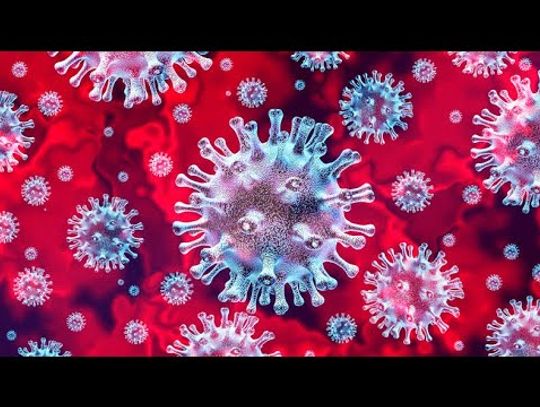 Koronawirus w Małopolsce nie zwalnia - jest już 638 zakażonych