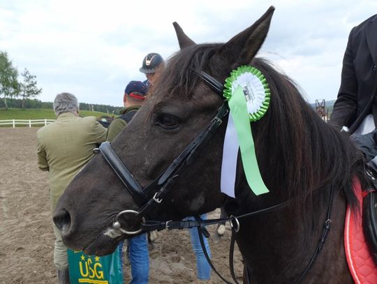 Majówka w Regietowie 2025