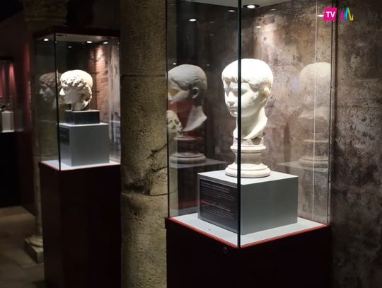 Muzeum Archeologiczne w sieci