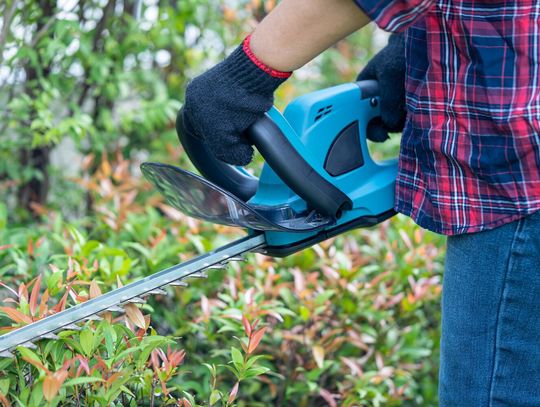 Najlepsze podkaszarki elektryczne do małego ogrodu ? ranking i porady zakupowe