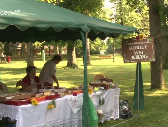 Piknik "Wysowa-Zdrój pachnąca ziołami"