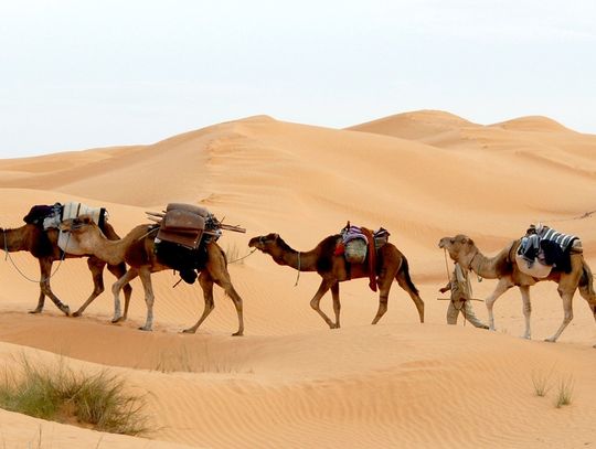 Planujesz wakacje za granicą? Najpierw odwiedź centrum szczepień!
