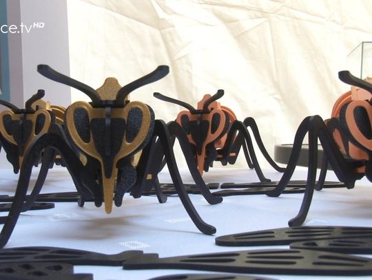 Podsumowanie projektu "Misja Pszczoła"