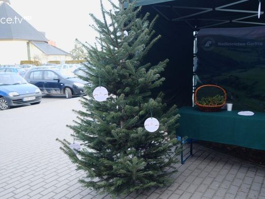 Razem z leśnikami w ramach akcji „Choinka dla życia” pozyskano prawie 23 litrów krwi