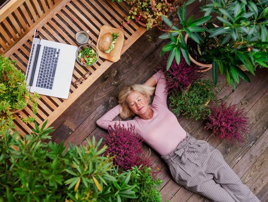 Susz Kwiaty HHC czy THCP: Który kannabinoid wybrać?