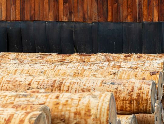 Suszarnie przemysłowe w procesie obróbki drewna Suszarnie przemysłowe w procesie obróbki drewna