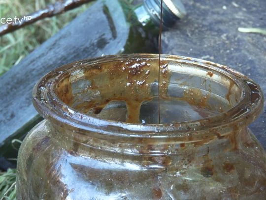 Święto Maziarzy Łosiańskich 2025