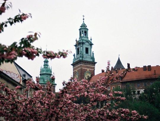 Wycieczka grupowa z Gorlic do Krakowa - jak zorganizować transport dla całej grupy? Wycieczka grupowa z Gorlic do Krakowa - jak zorganizować transport dla całej grupy?