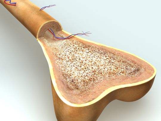Zdrowe kości przez całe życie - witamina D