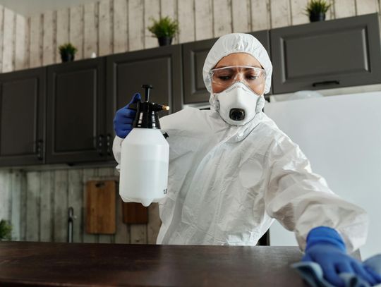 Zwalczanie pluskiew - jak pozbyć się tych uciążliwych owadów?