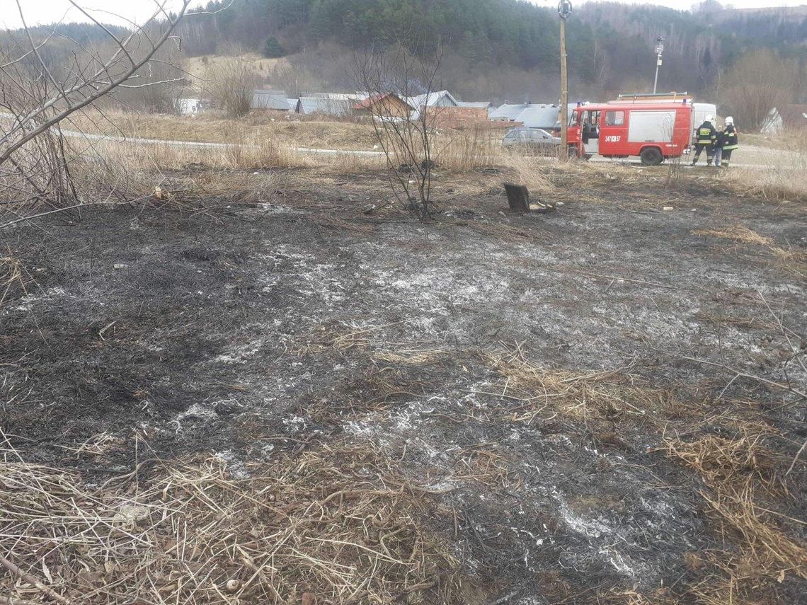 434 pożary łąk, traw i nieużytków w Małopolsce. W jeden miesiąc