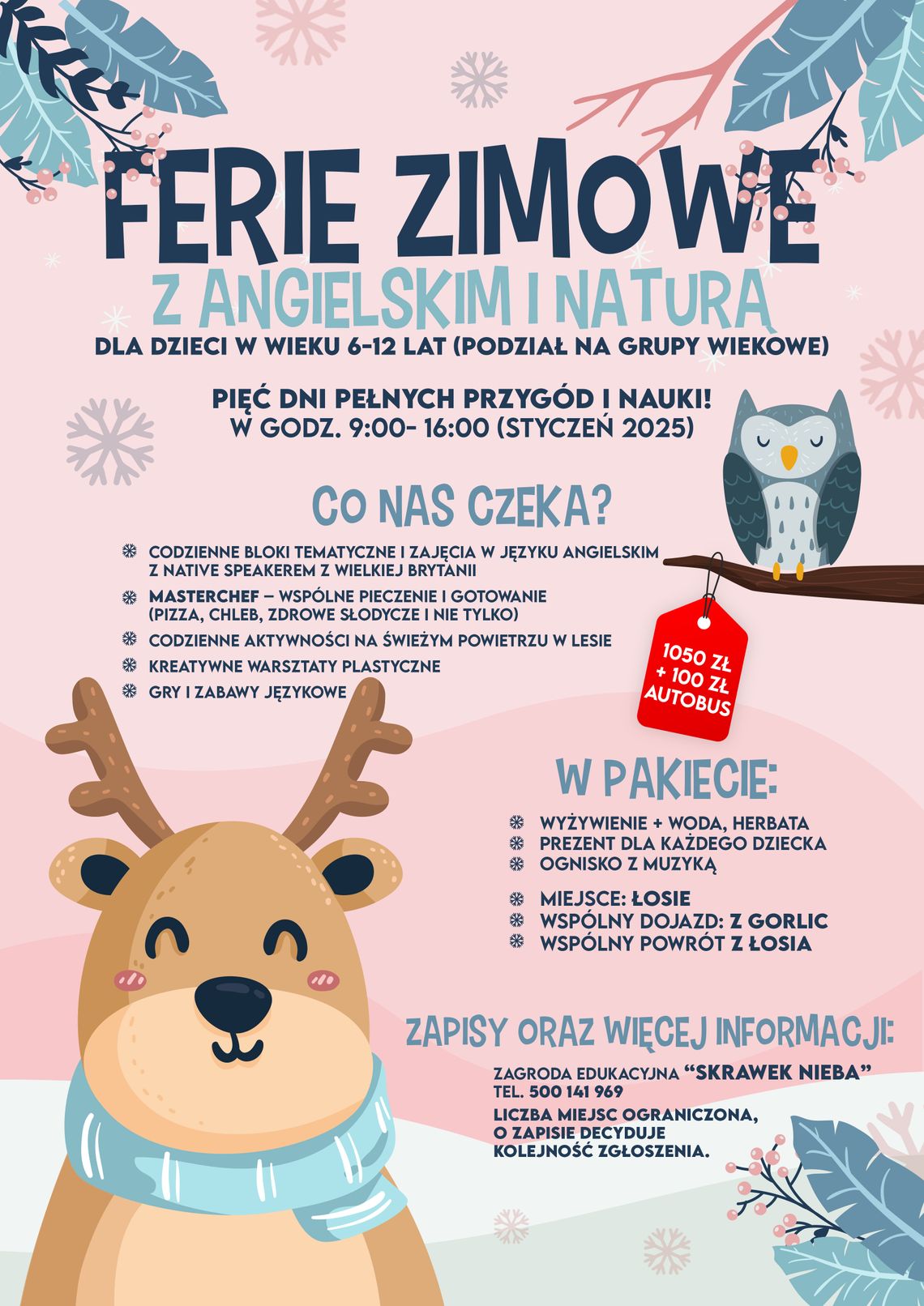 Stowarzyszenie „Skrawek Nieba” i Centrum Językowe Victoria zaprasza na Zimowe Ferie z Językiem Angielskim w Zagrodzie Edukacyjnej! 🌟