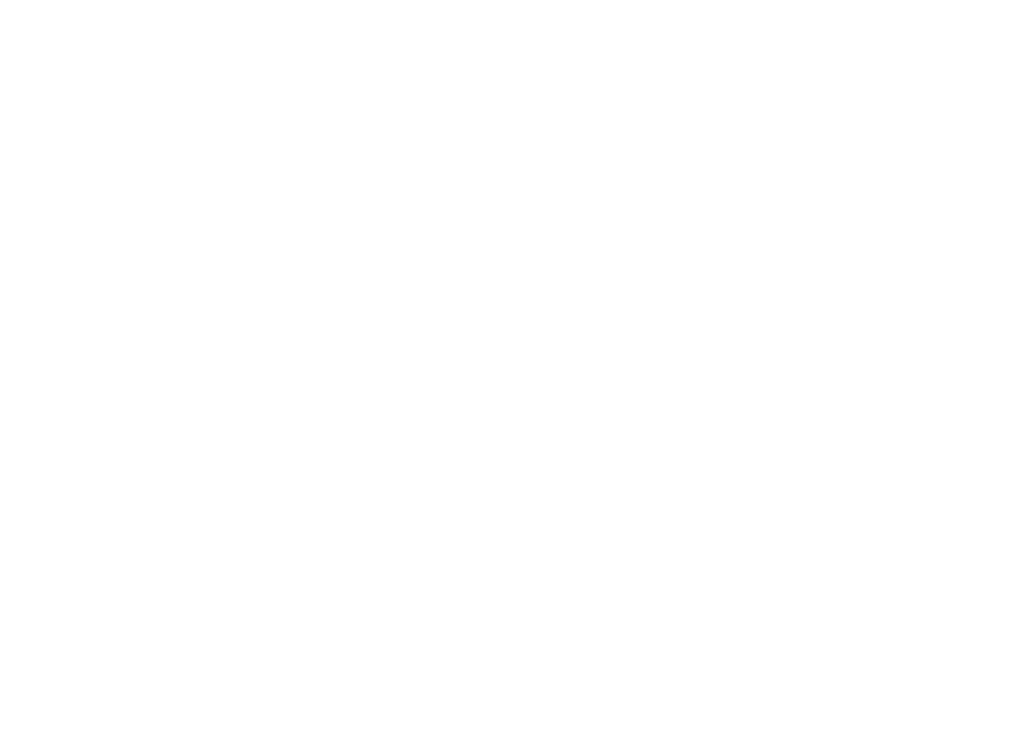 Producent akcesorii wędkarskich Sklep internetowy Salix Alba